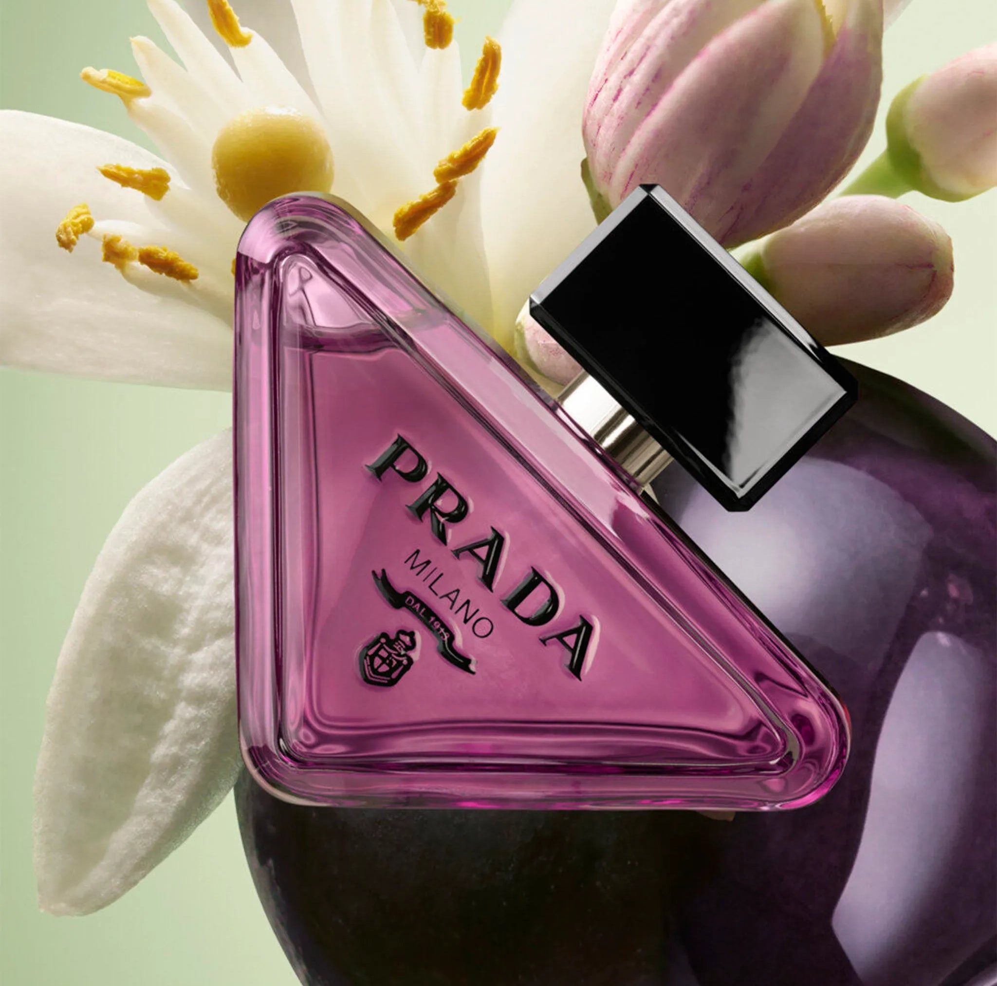 Prada Paradoxe Radical Essence Sweet Chemistry Eau de Parfum